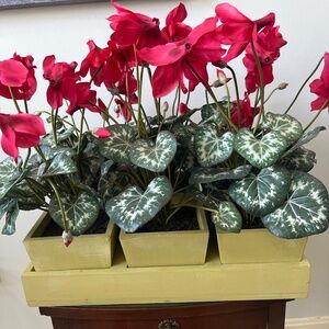 6 artificial cyclamen plants